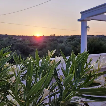 فيلة Paradisos *