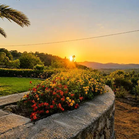 Paradisos Villa *
