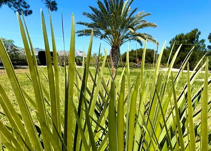 Paradisos Вилла Архангелос